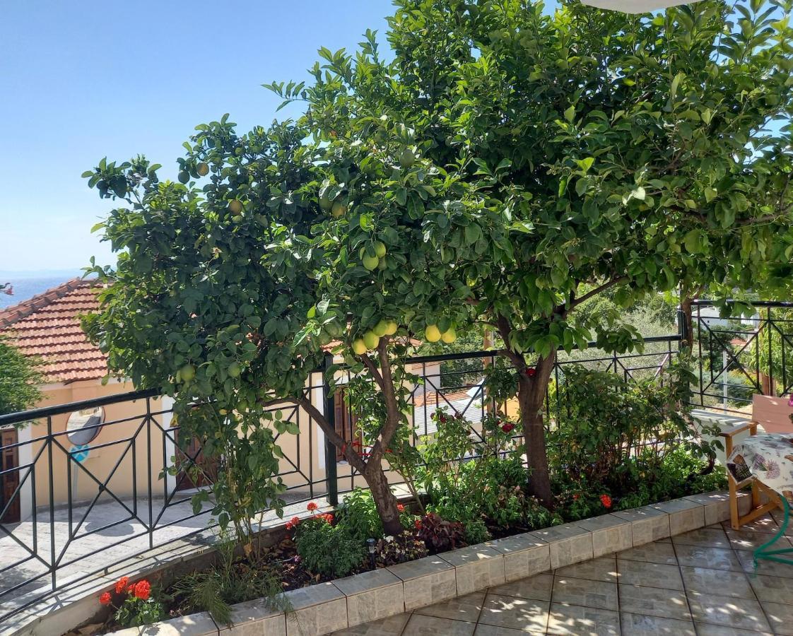 Вілла Πηλιο- Το Εξοχικο Τησ Αννασ- Αφησσοσ Афісос Екстер'єр фото