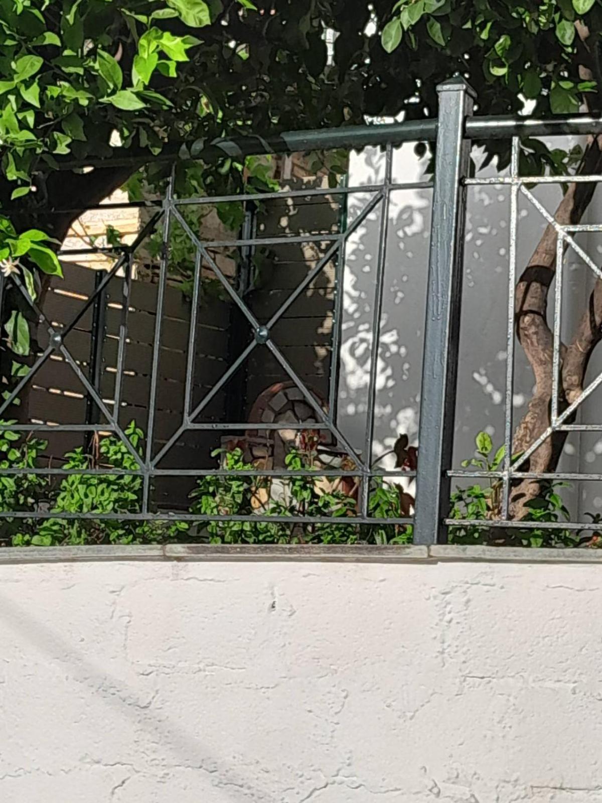 Вілла Πηλιο- Το Εξοχικο Τησ Αννασ- Αφησσοσ Афісос Екстер'єр фото